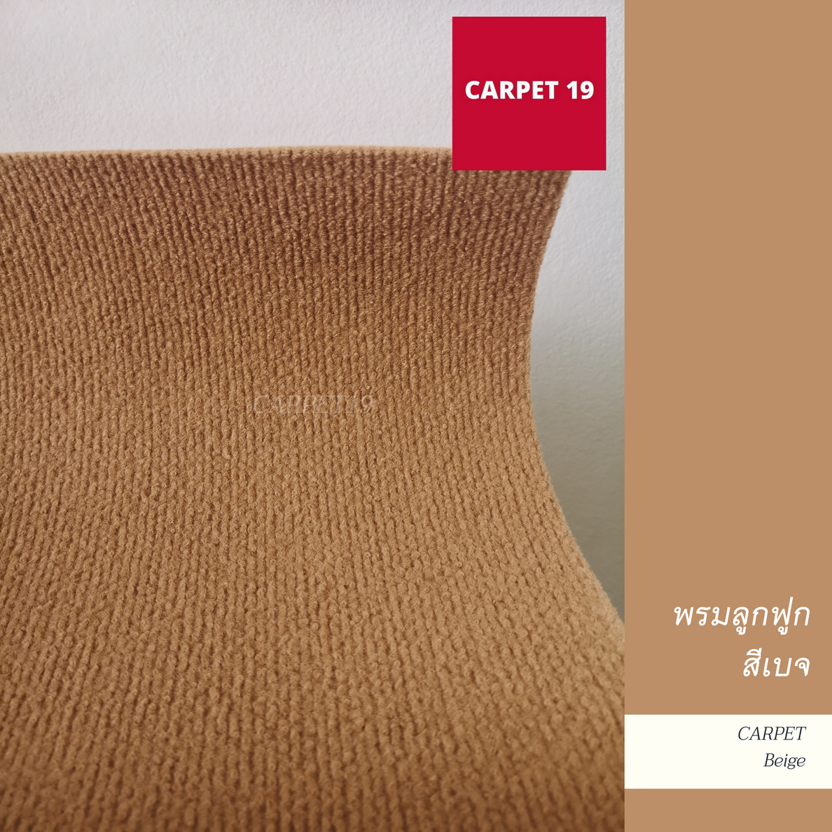 ราคาต่อเมตร>> CARPET19 พรมลูกฟูก สีเบจ กว้าง 1.5 เมตร หนา 4.5-5 มม.