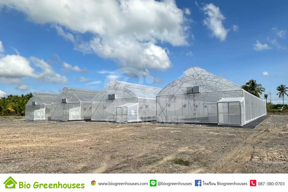 โรงเรือนจั่ว2ชั้น ขนาด 10x40x6.5 ม. พร้อมงานระะบบ จำนวน4หลัง จ.นครศรีธรรมราช