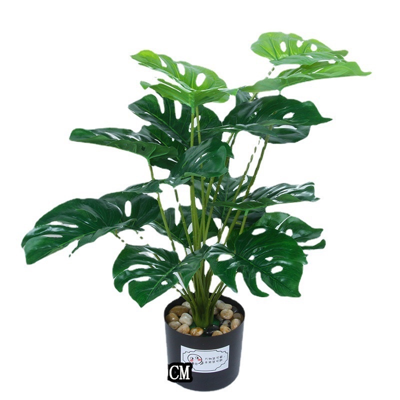 TS061J010 TROPACL ต้นไม้ปลอม ต้นไม้ประดับ ต้นไม้แต่งห้อง แถมกระถางดำ ARTIFICIAL PLANT ต้นซานาดู ต้นกวนอิม ต้นมอนสเตอร่า