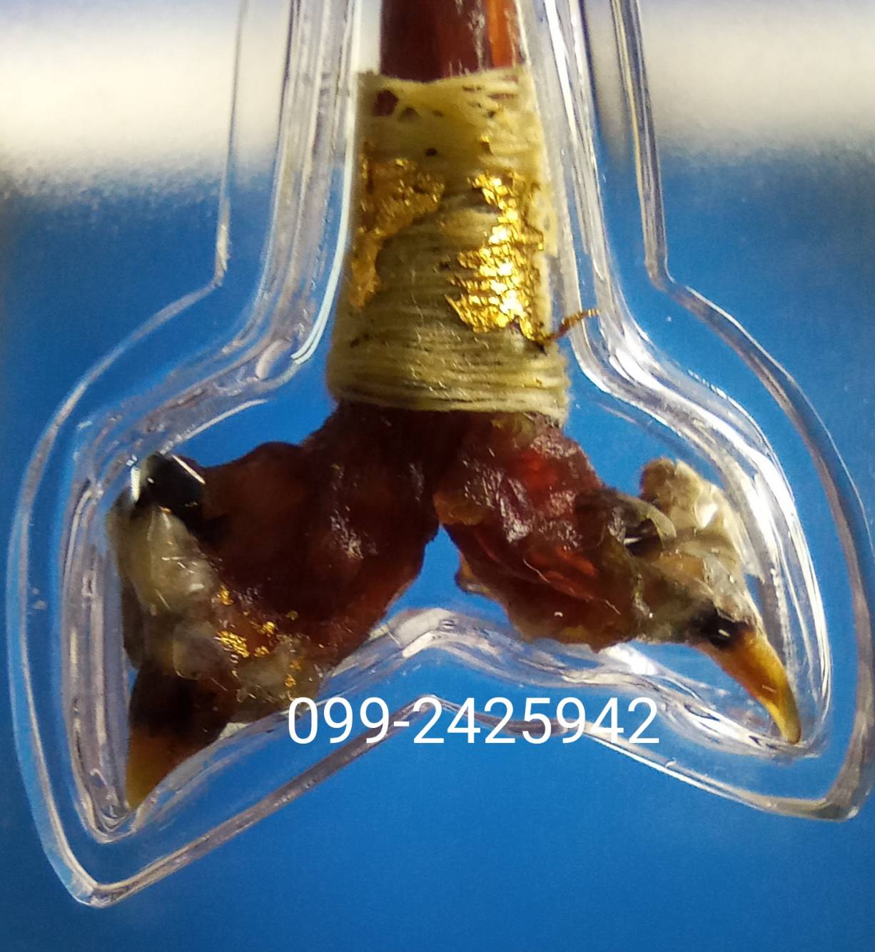 เดือยงูเหลือม เครื่องรางอาถรรพ์ ด้านโชคลาภ ทำมาหากิน และเสี่ยงโชค ลาภลอย ของแท้ต้องแบบนี้ครับ (โทรสอบถามครับ)