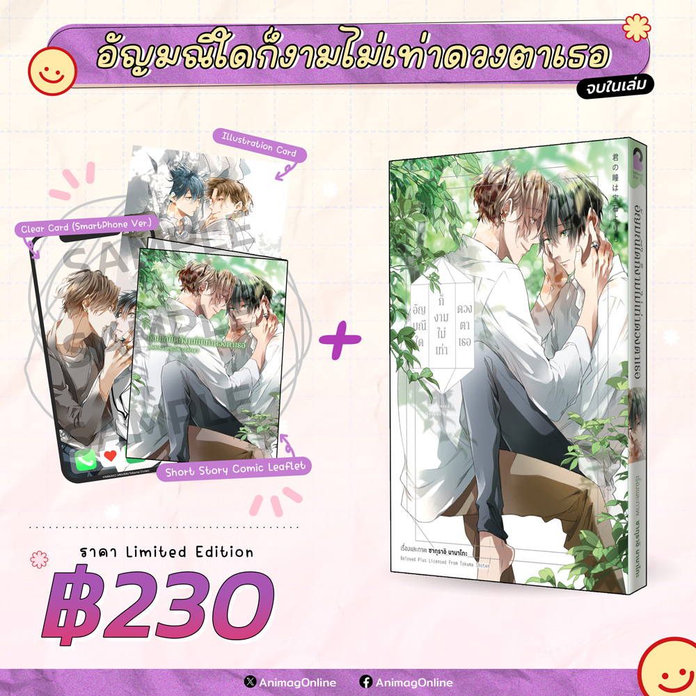 Animag อัญมณีใดก็งามไม่เท่าดวงตาเธอ COMIC (เล่มเดียวจบ) Limited Edition