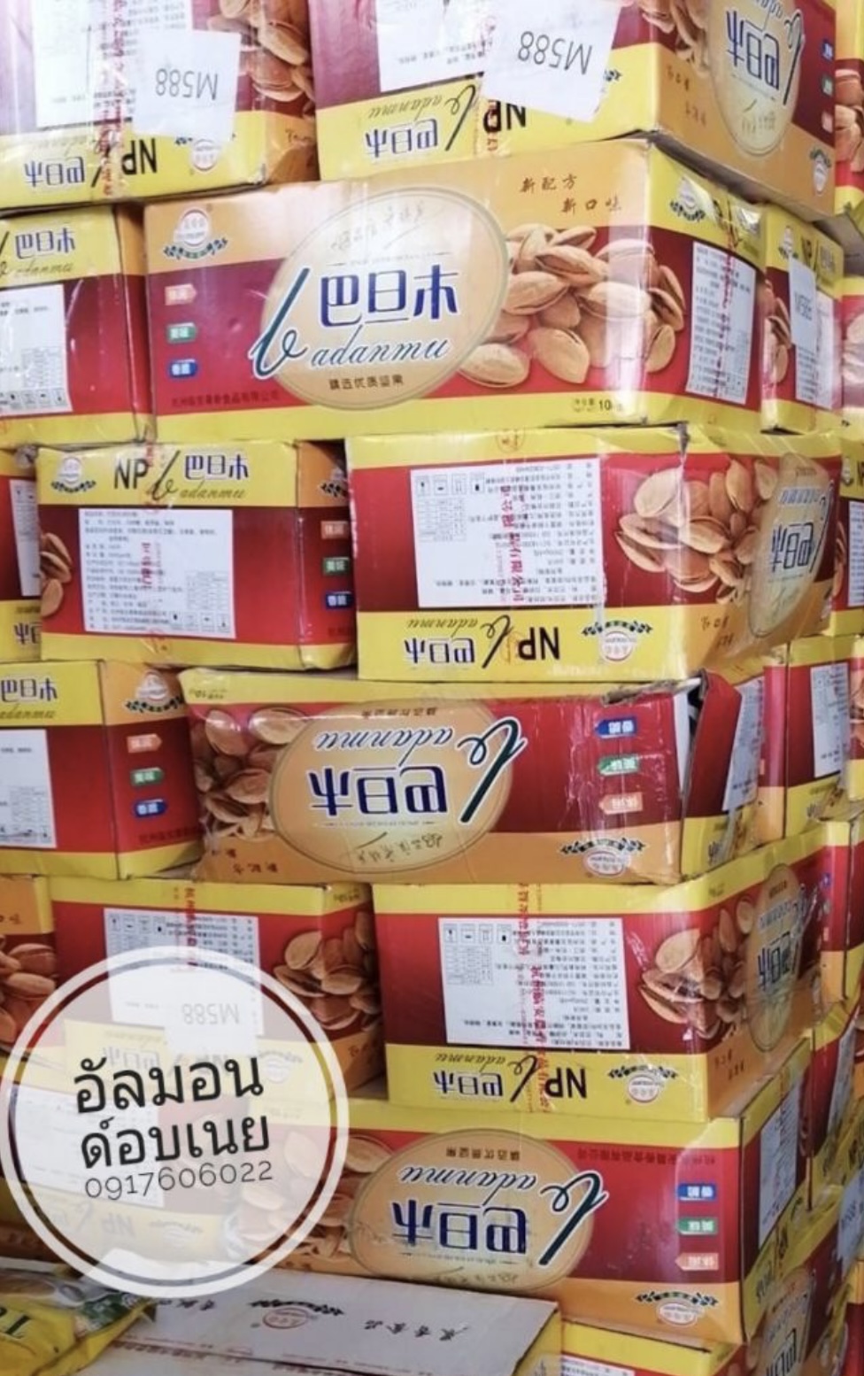 อัลมอนด์อบเนย อบทั้งเปลือก ทานได้เลย (500กรัม)