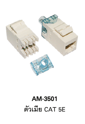 AM-3501 1375191-1 CAT5E RJ45 Modular Jack (ตัวเมีย) 1 Pack = 10 Units