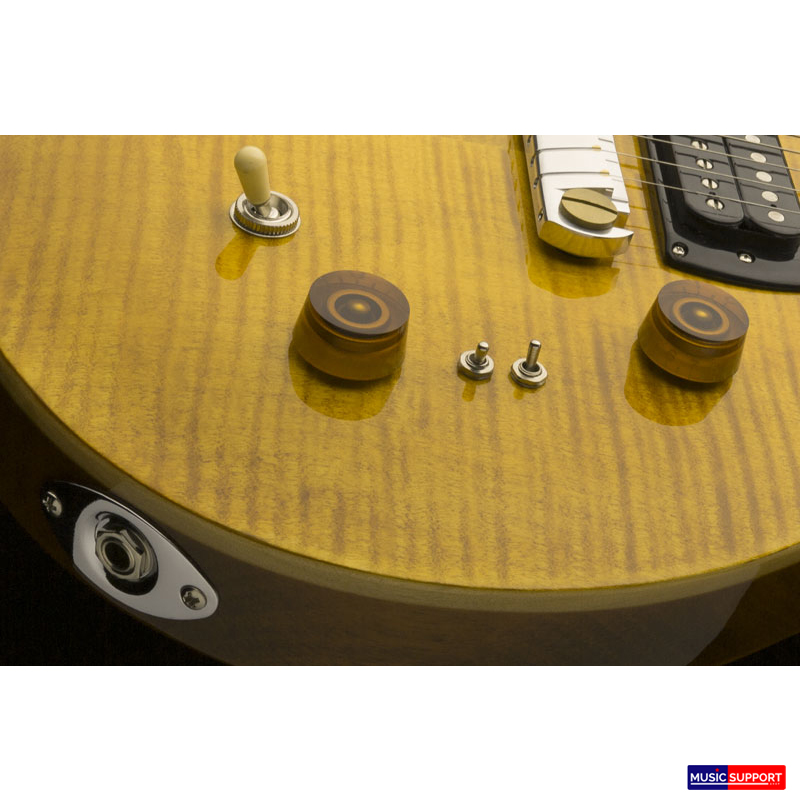 PRS SE Paul'S Guitar 2019