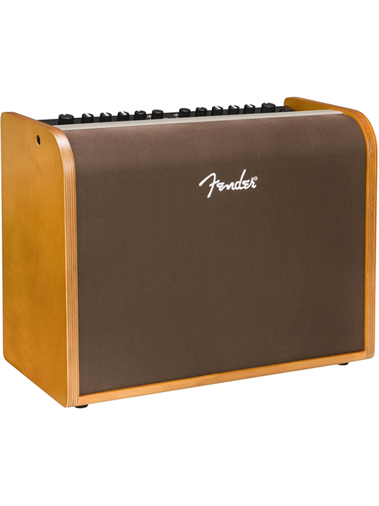 Fender Acoustic 100