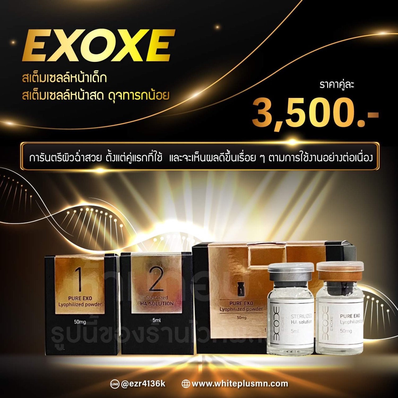 Exoxe สเต็มเซลล์หน้าเด็ก