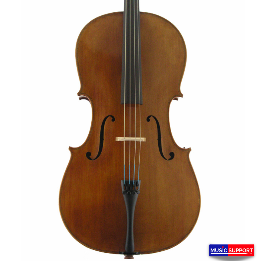 Synwin Handmade Model Cello Outfit SVC2001 4/4