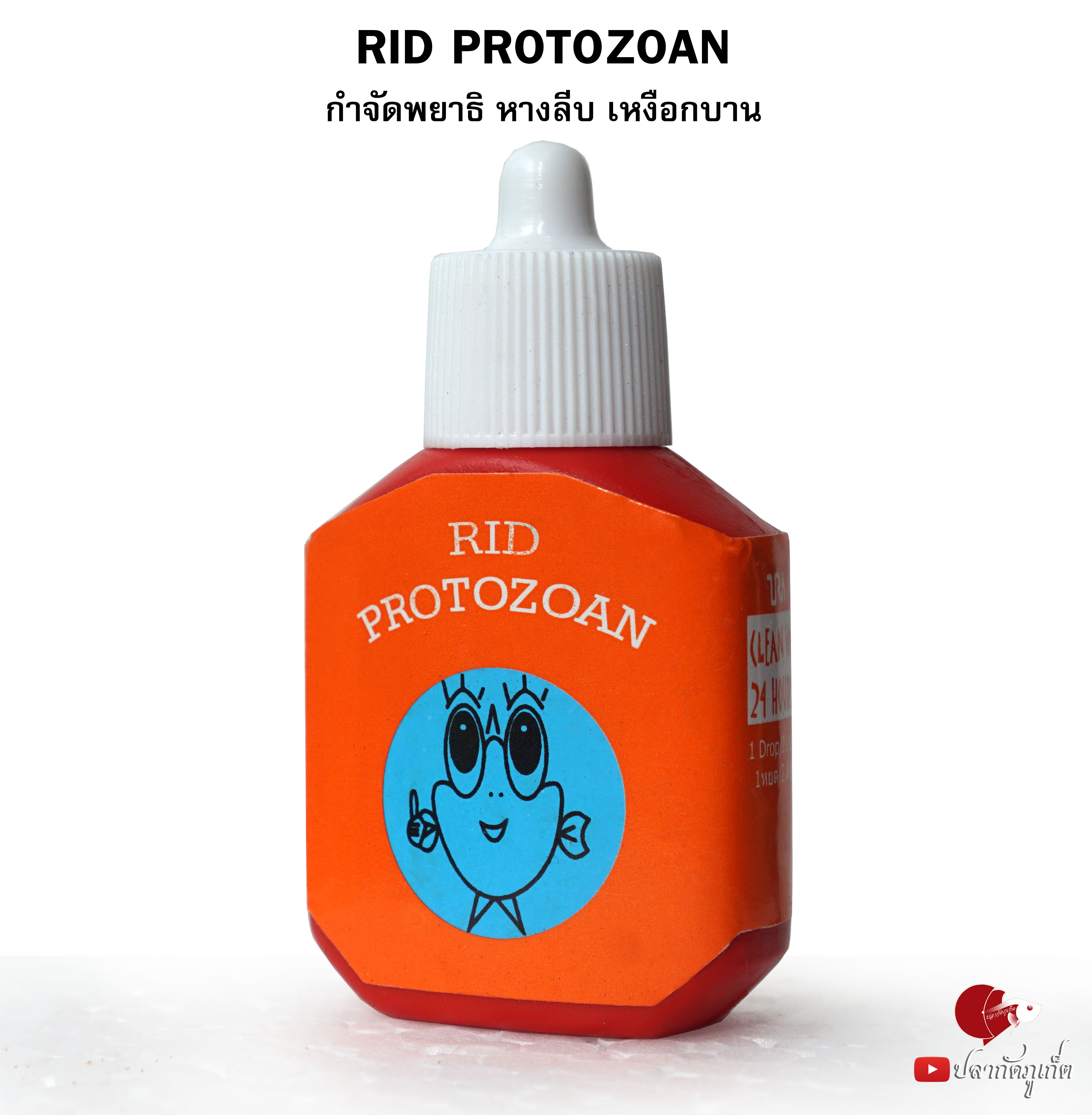 Rid Protozoan