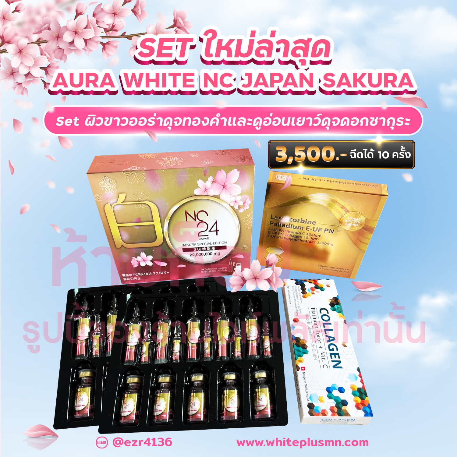 Set NC24 Sakura Special Edition 22,000,000 mg