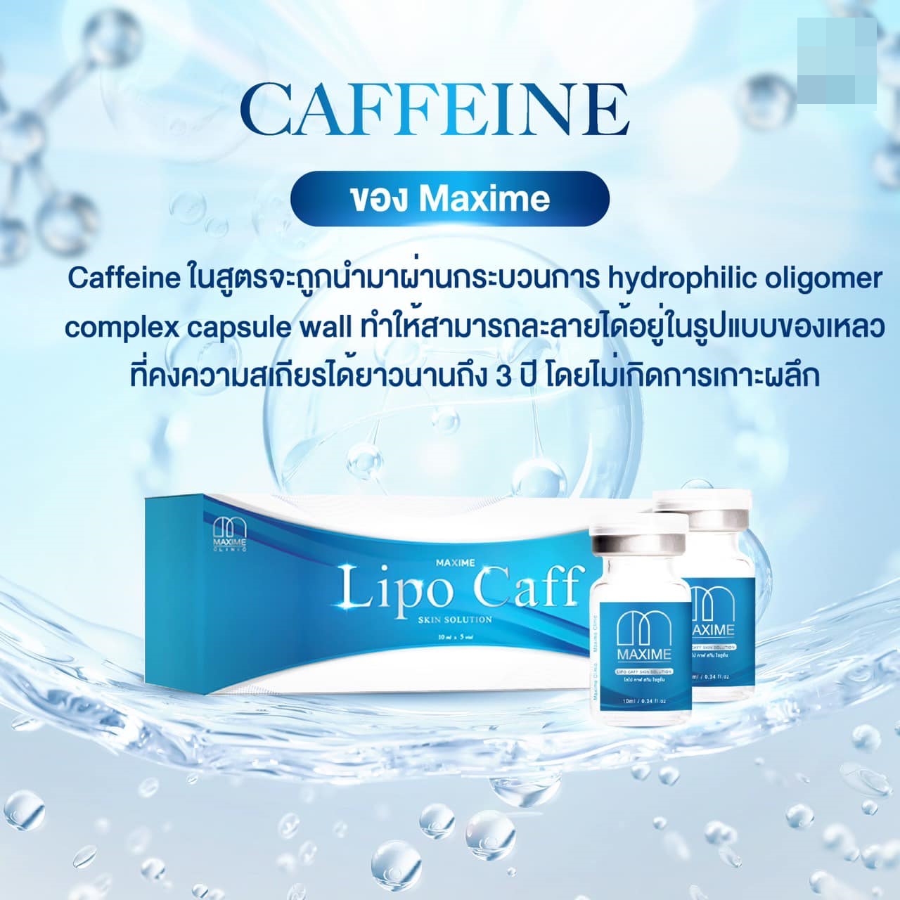 เมโสแฟต Maxime อย.ไทย