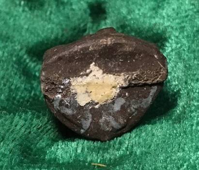 กุมารทองโชคทวี เนื้อผงดินเจ็ดป่าช้า อุดด้วยผงพรายกุมาร หลวงปู่คำบุ วัดกุดชมภู จ.อุบลราชธานี