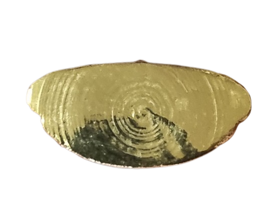 หลวงพ่อพระใส ก้นกลีง