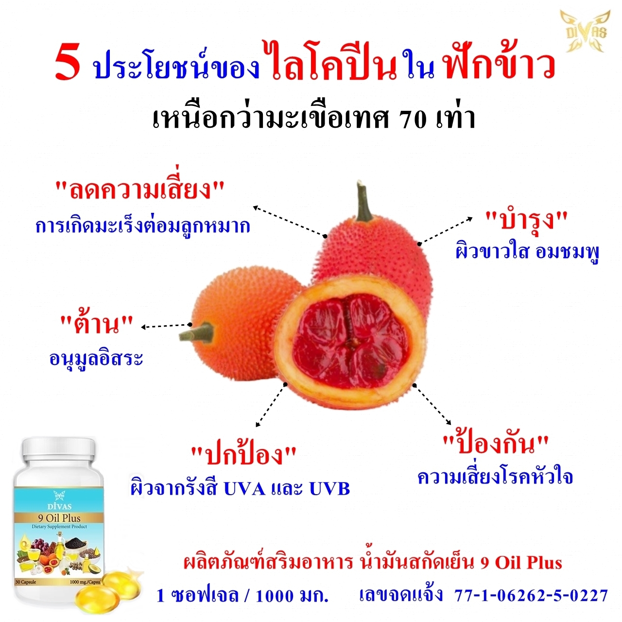 9 Oil Plus,Gac Oil,Astaxanthin,น้ำมันงาดำ,น้ำมันฟักข้าว,แอสต้าแซนธิน,น้ำมันงาม้อน,น้ำมันไรซ์เบอร์รี่,เซซามิน,Sesamin