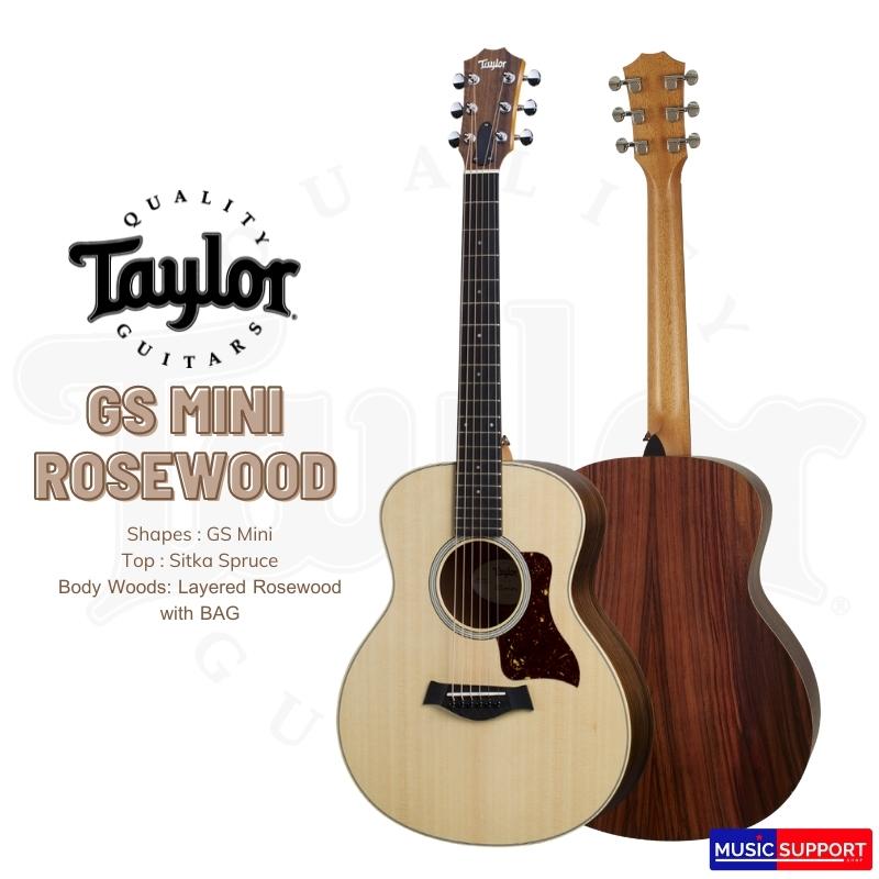 TAYLOR GS MINI ROSEWOOD/BAG