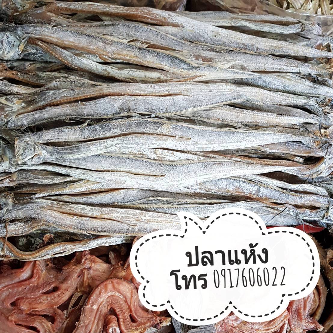 ปลาแห้ง ปลาช่อนแดดเดียว ปลาช่อนตากแห้ง ปลาแดดเดียว ปลาพม่า ปลาช่อนพม่า ปลาพม่าตากแห้ง ปลาตากแห้ง