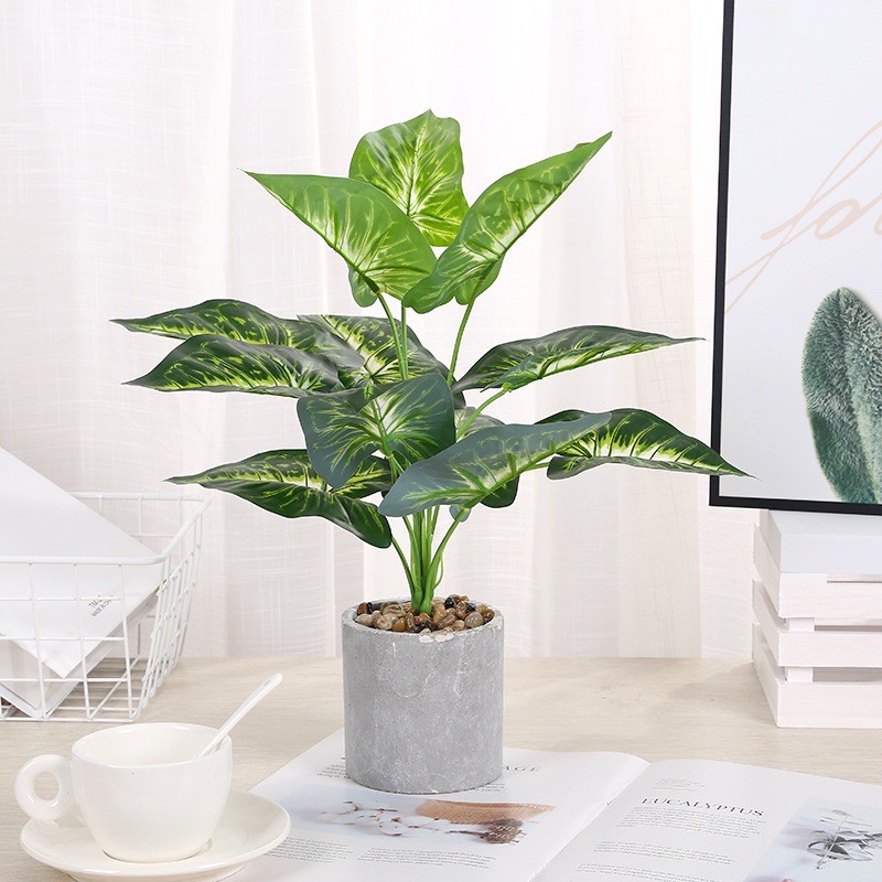 TS061J011 TROPACL ต้นไม้ปลอม ต้นออมเงิน ต้นไม้ปลอมสวยๆ ต้นไม้ปลอมโชว์ ARTIFICIAL PLANT ต้นออมเงินปลอม