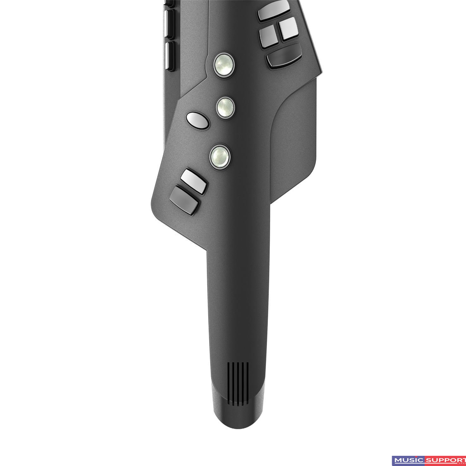 แซ็กโซโฟนไฟฟ้า Roland AE-10G