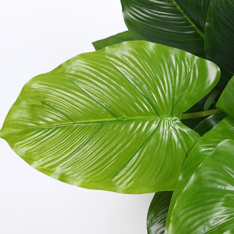 TS061J010 TROPACL ต้นไม้ปลอม ต้นไม้ประดับ ต้นไม้แต่งห้อง แถมกระถางดำ ARTIFICIAL PLANT ต้นซานาดู ต้นกวนอิม ต้นมอนสเตอร่า