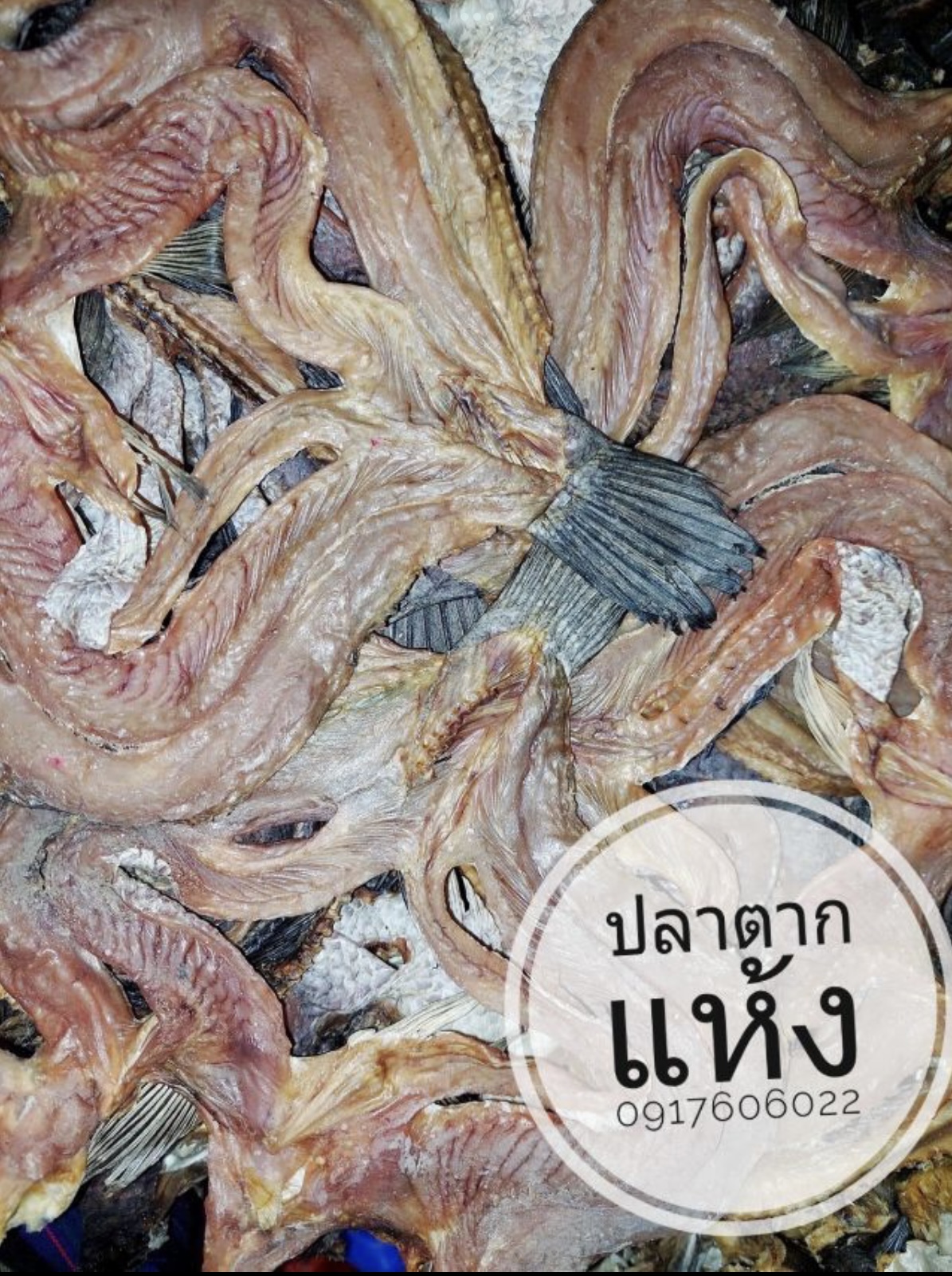 ปลาแห้ง ปลาช่อนแดดเดียว ปลาช่อนตากแห้ง ปลาแดดเดียว ปลาพม่า ปลาช่อนพม่า ปลาพม่าตากแห้ง ปลาตากแห้ง ปลาหัวยุ่ง ปลาทู ขายส่งปลาแห้ง
