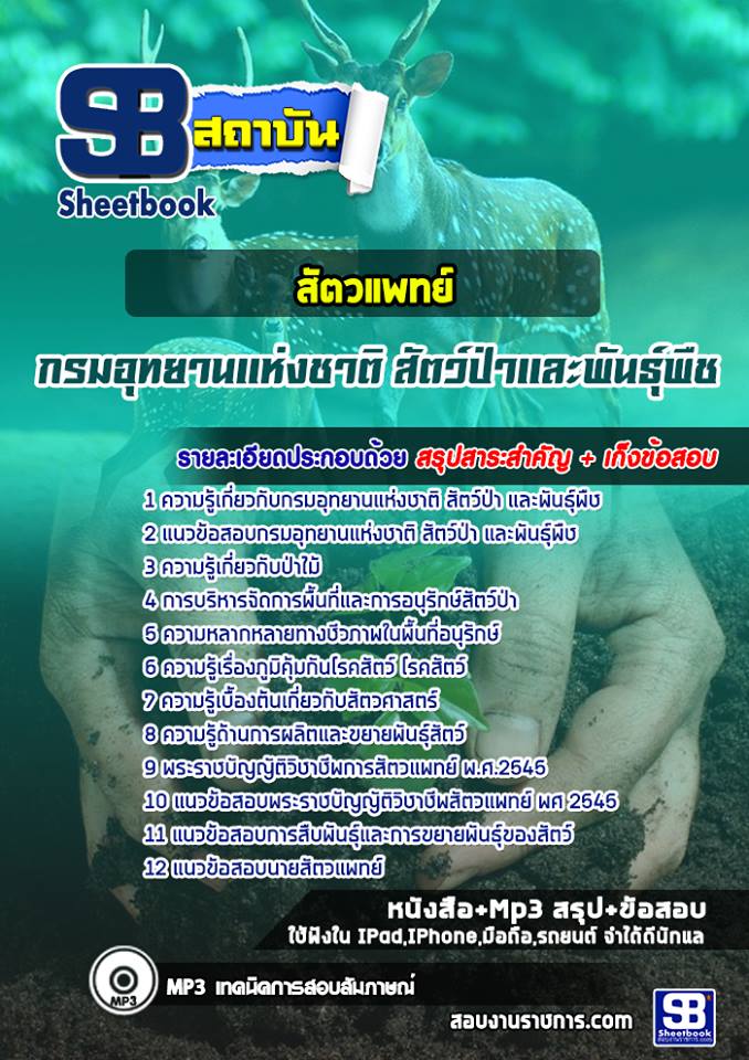 ใส่ (รายละเอียด แนวข้อสอบ)