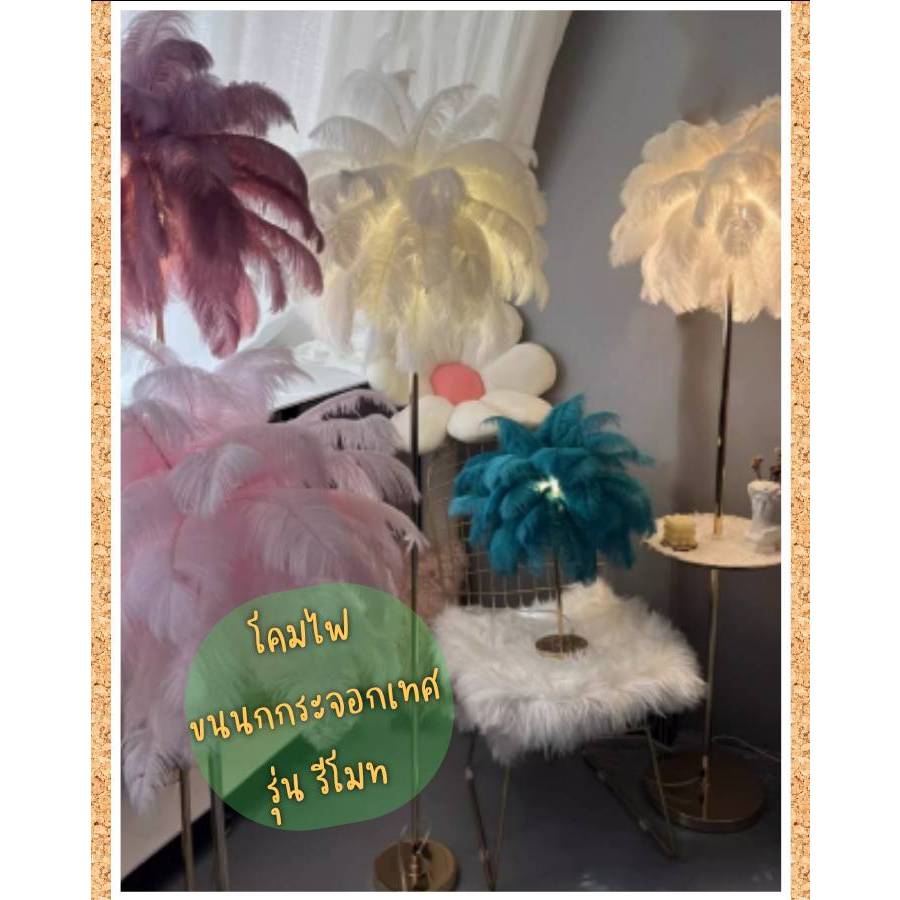 CT191A149 SOTMIA โคมไฟตั้งพื้นขนนกกระจอกเทศพร้อมรีโมท โคมไฟแบบชาร์จไฟได้ Feather โต๊ะกาแฟ Lamp