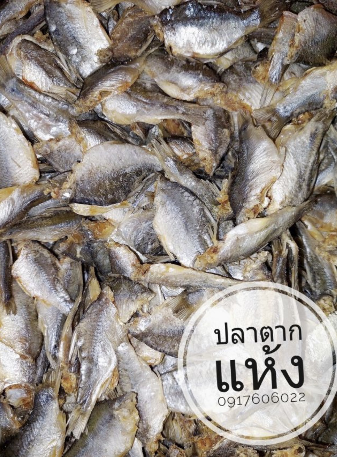ปลาแห้ง ปลาช่อนแดดเดียว ปลาช่อนตากแห้ง ปลาแดดเดียว ปลาพม่า ปลาช่อนพม่า ปลาพม่าตากแห้ง ปลาตากแห้ง ปลาหัวยุ่ง ปลาทู ขายส่งปลาแห้ง