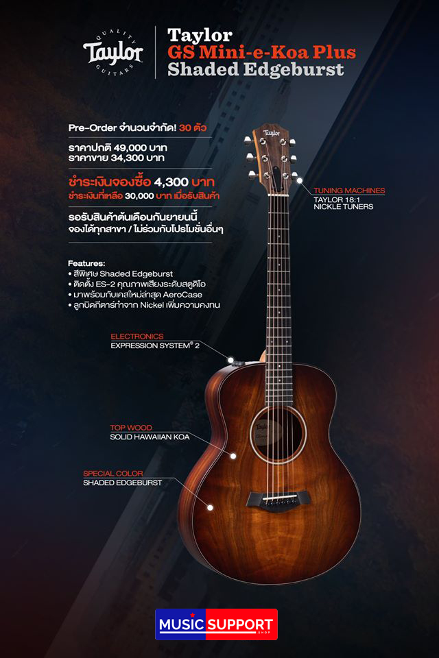 TAYLOR GS MINI-E KOA PLUS/AEROCASE