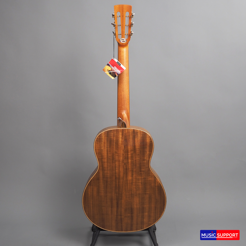 CRAFTER MINO-KOA [FREE BAG]