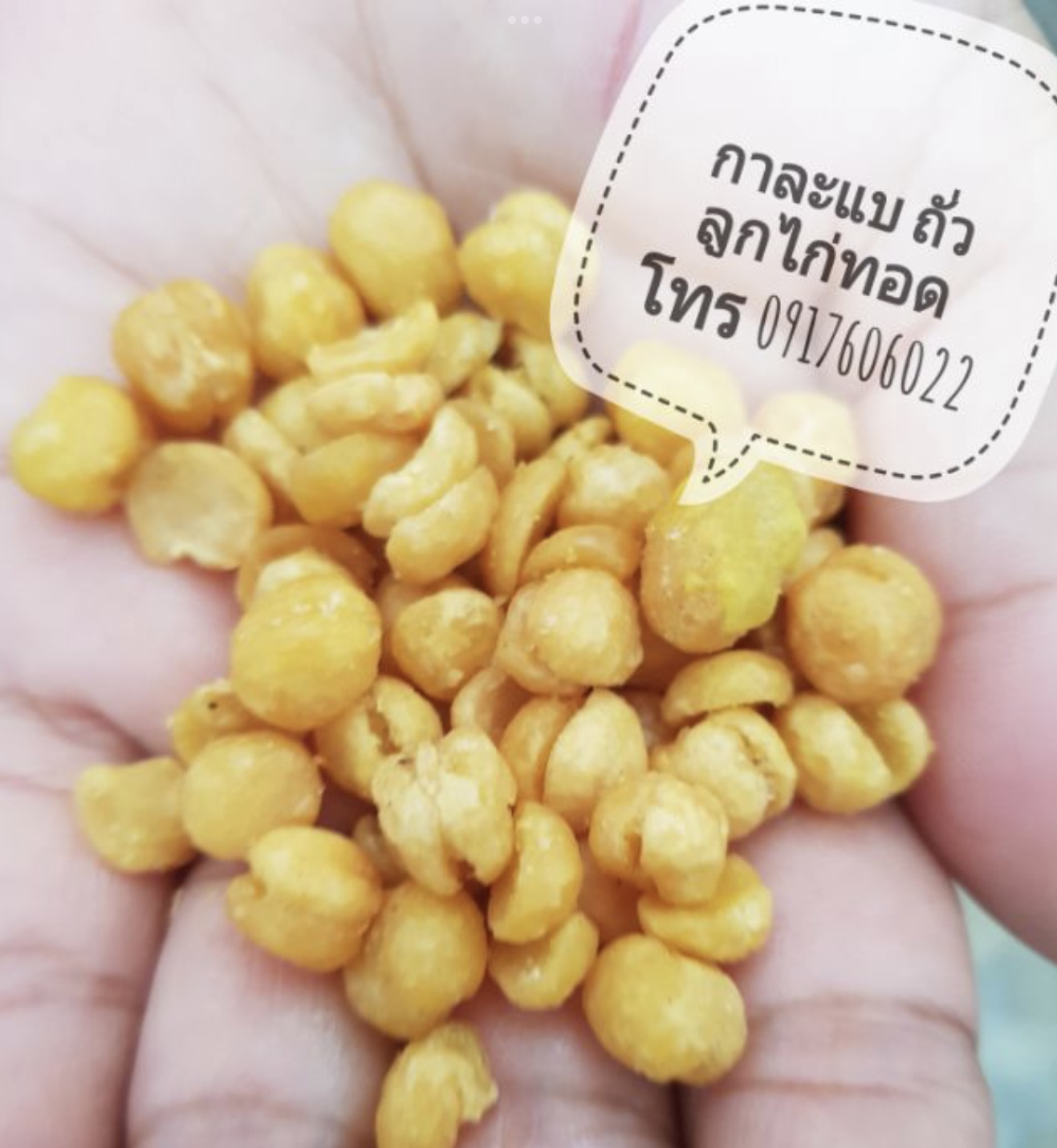 ถั่วพม่า ถั่วลูกไก่ ถั่วลูกไก่ทอด ถั่วชิคพี chickpea ถั่วลูกไก่อบกรอบ ถั่วราคาส่ง ขายส่งถั่ว ถั่วทอด กาละแบ ถั่วกาละแป กาละแป ถั่วกะละแปทอด