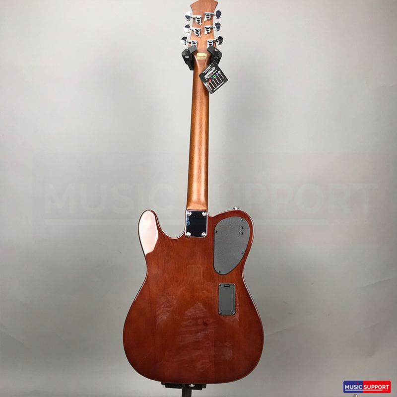 Clevan EA-20 - กีตาร์โปร่งไฟฟ้า