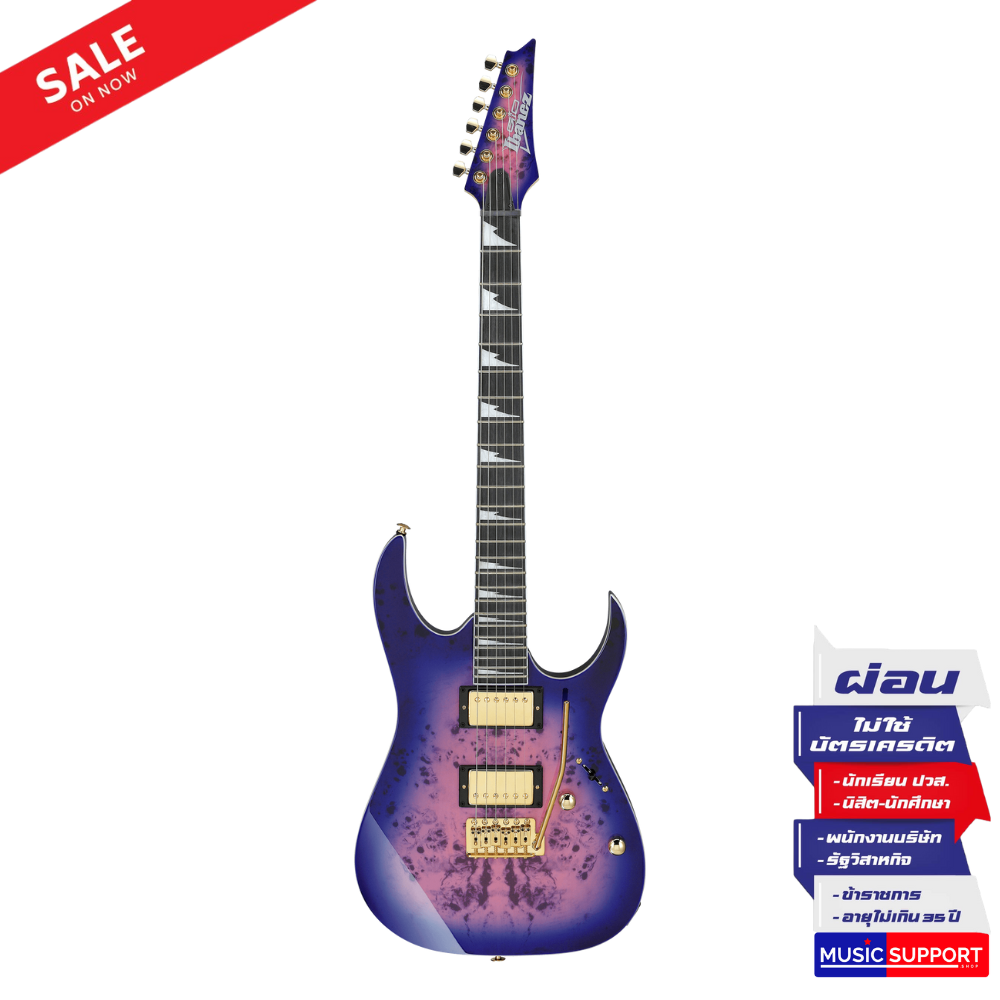 กีตาร์ไฟฟ้า IBANEZ GRG220PA-RLB