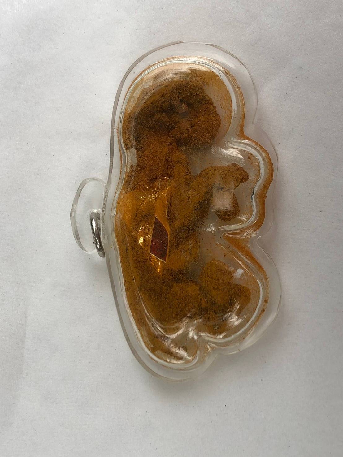 รกแมว ลูกกรอกแมว เครื่องรางของขลังด้านโชคลาภ