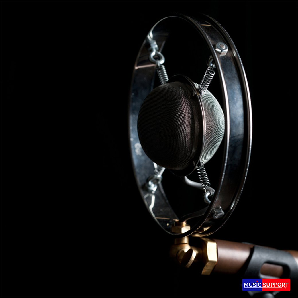 Ear Trumpet Labs LOUISE Condenser Microphone