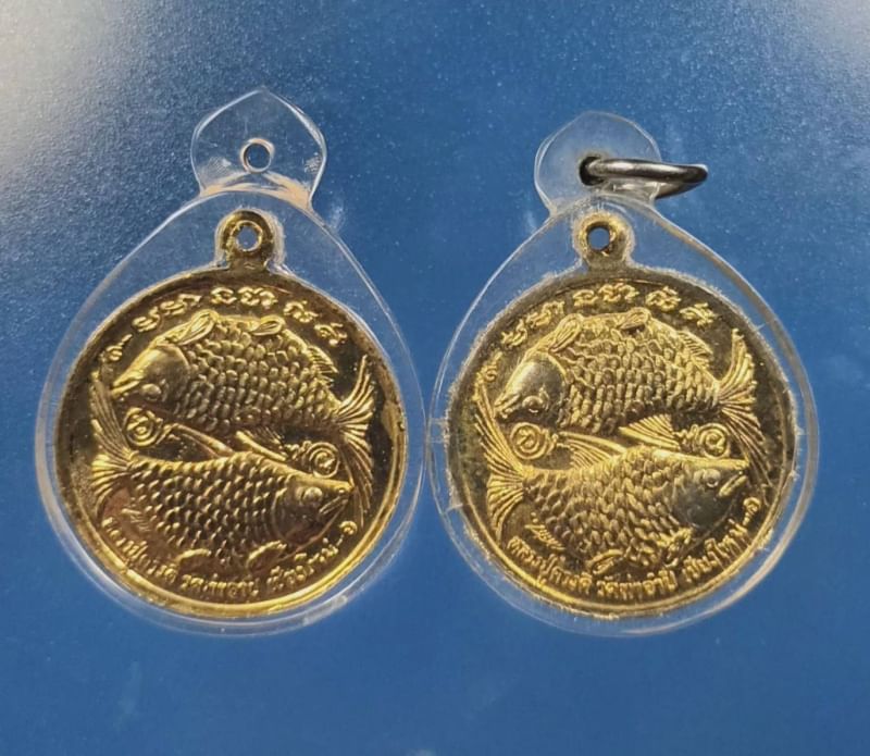 ปลาตะเพียนทองครูบาดวงดี ท่าจำปี พ.ศ.2525