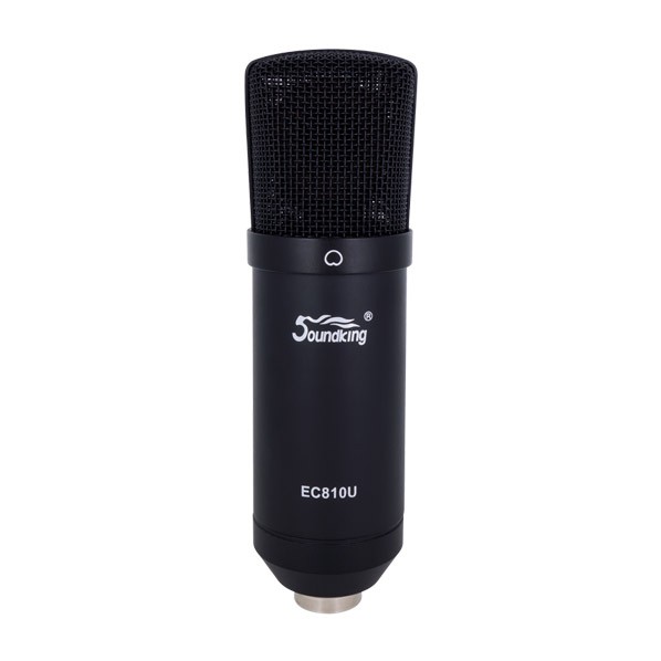 Soundking Microphone USB EC810U