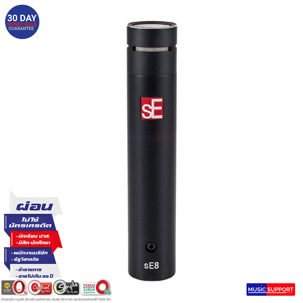 sE Electronics : sE8 (P)