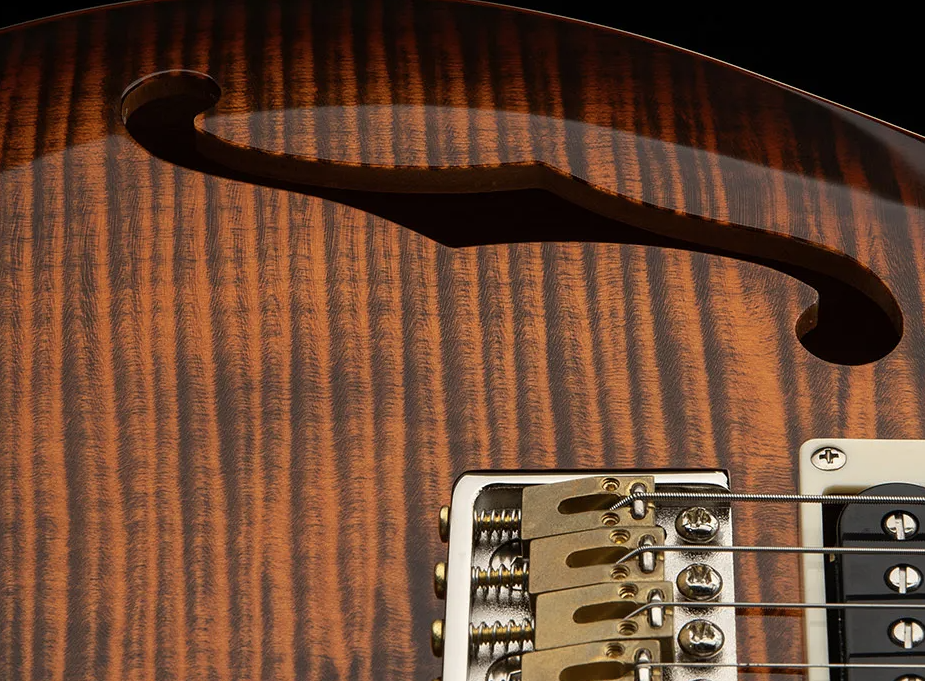 กีตาร์ไฟฟ้า PRS SE CUSTOM 24 SEMI HOLLOW PIEZO