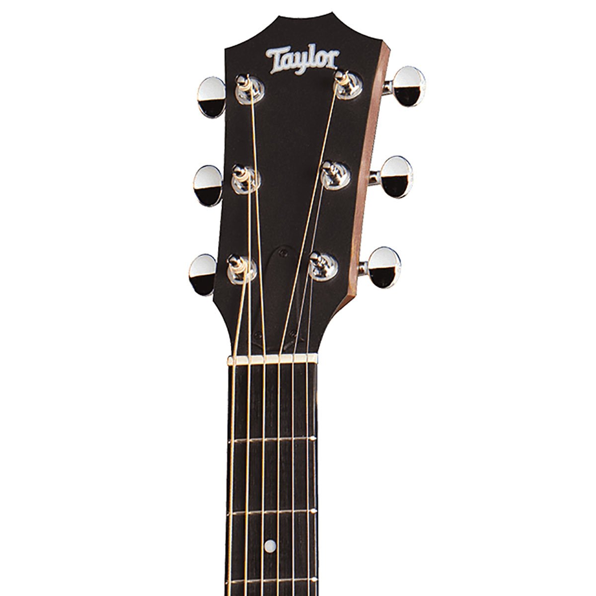 กีตาร์โปร่งไฟฟ้า TAYLOR BBT-E WALNUT ES-B