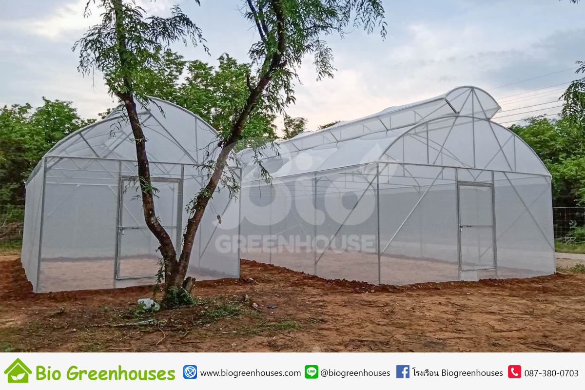 โรงเรือนปลูกผัก จำนวน2หลัง จ.กาญจนบุรี