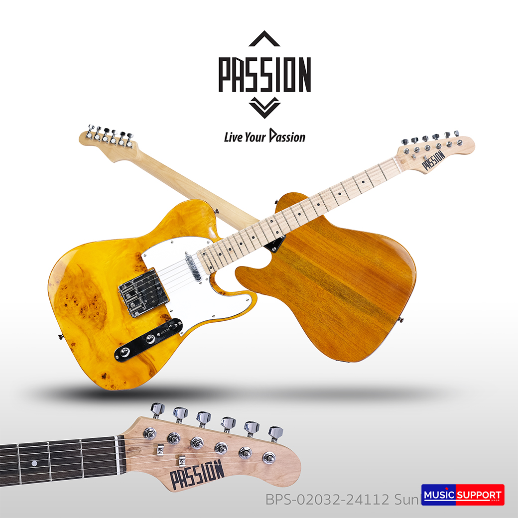 Passion กีต้าร์ไฟฟ้า Bird-Eye EBTL-01 TL MP