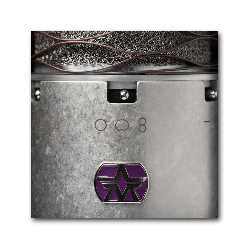 Aston Microphones Spirit Large Diaphragm Multi-Pattern Condenser Microphone