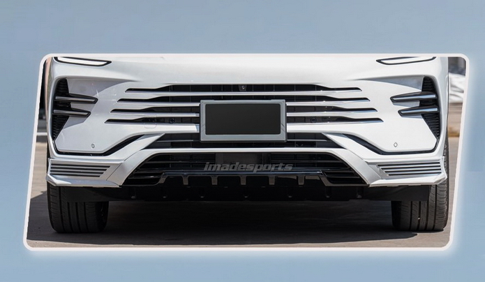 ชุดแต่ง ฺBYD SEALION 6 Ultimate (import -PP)