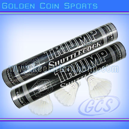 ลูกแบดมินตัน ไทรอัมพ์ (12ลูก)