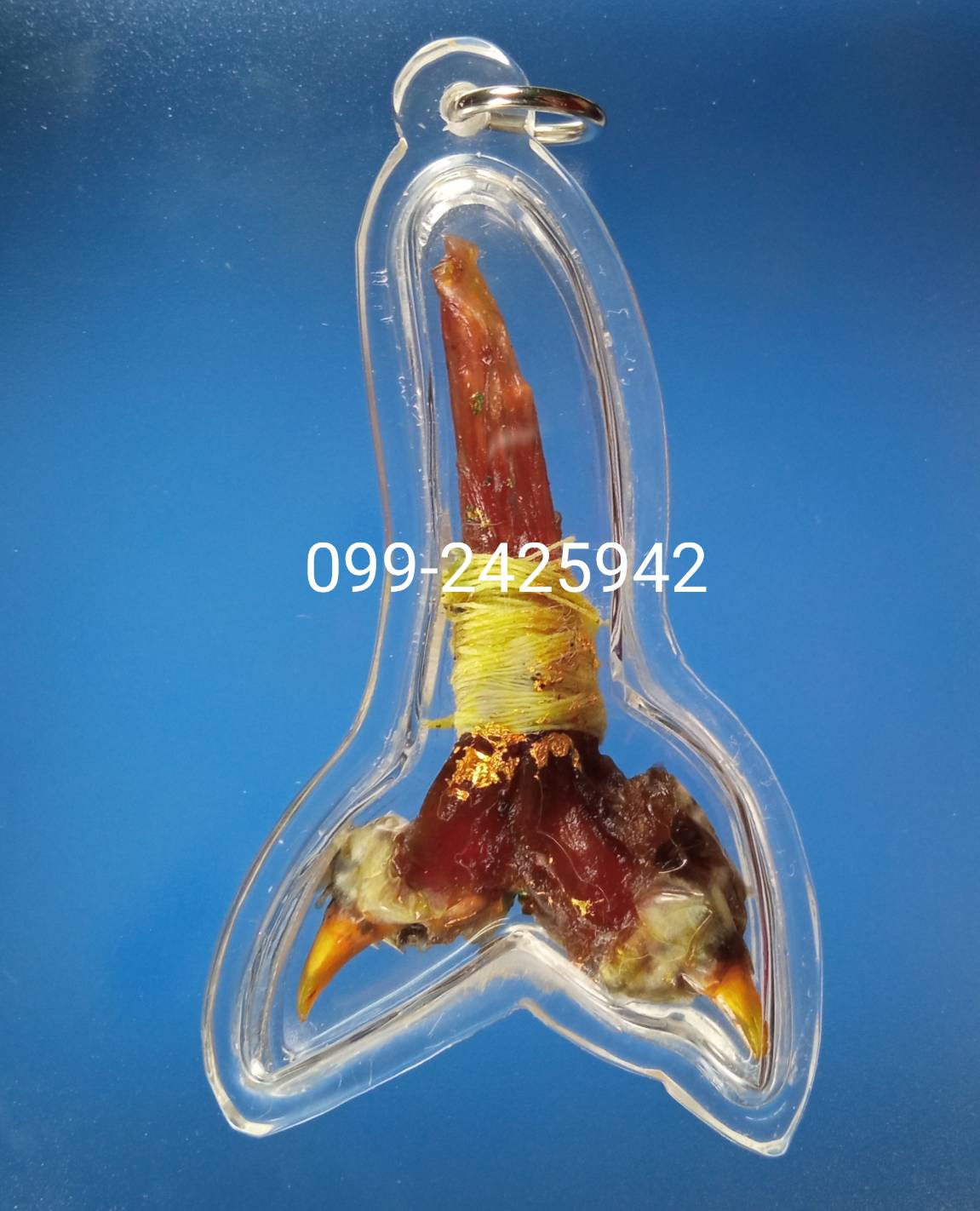 เดือยงูเหลือม เครื่องรางอาถรรพ์ ด้านโชคลาภ ทำมาหากิน และเสี่ยงโชค ลาภลอย ของแท้ต้องแบบนี้ครับ