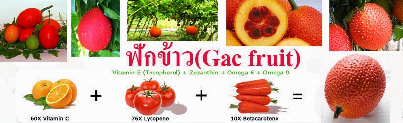 น้ำฟักข้าว, น้ำฟักข้าวสุนันท์, ของดีจังหวัดลพบุรี, ของดีเมืองลพบุรี, ของฝากลพบุรี, ขายน้ำฟักข้าว, ครีมอาบน้ำฟักข้าว, ถอนพิษไข้, น้ำฟักข้าว, น้ำฟักข้าวที่ได้รับการรับรอง, น้ำฟักข้าวผสมเสาวรส, น้ำฟักข้าวมีประโยชน์, น้ำฟักข้าวราคาถูก, บำรุงผิว, บำรุงร่างกาย, ฟักข้าว, ฟักข้าว ต้านมะเร็ง, ฟักข้าวชื่อวิทยาศาสตร์ Momordica cochinchinensis, ฟักข้าวสกัด, ฟักข้าวเป็นพืชที่มีวิตามิน A, วิธีทำน้ำฟักข้าว, ส่งเสริม, สบู่ฟักข้าว, เสริม, โลชั่นฟักข้าว