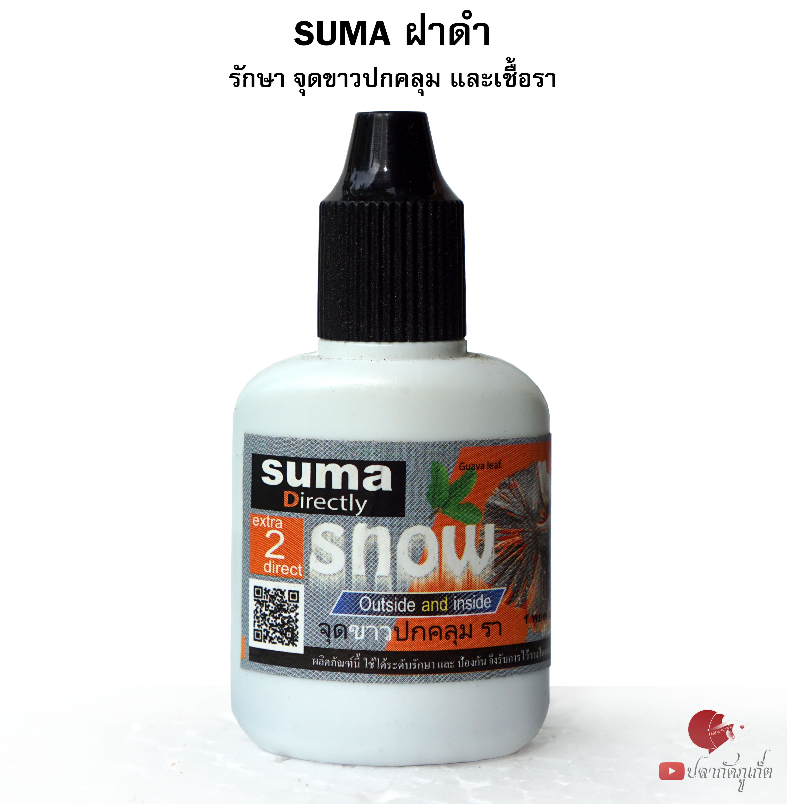 SUMA ฝาดำ