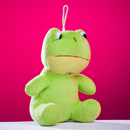 Froggie Plushie