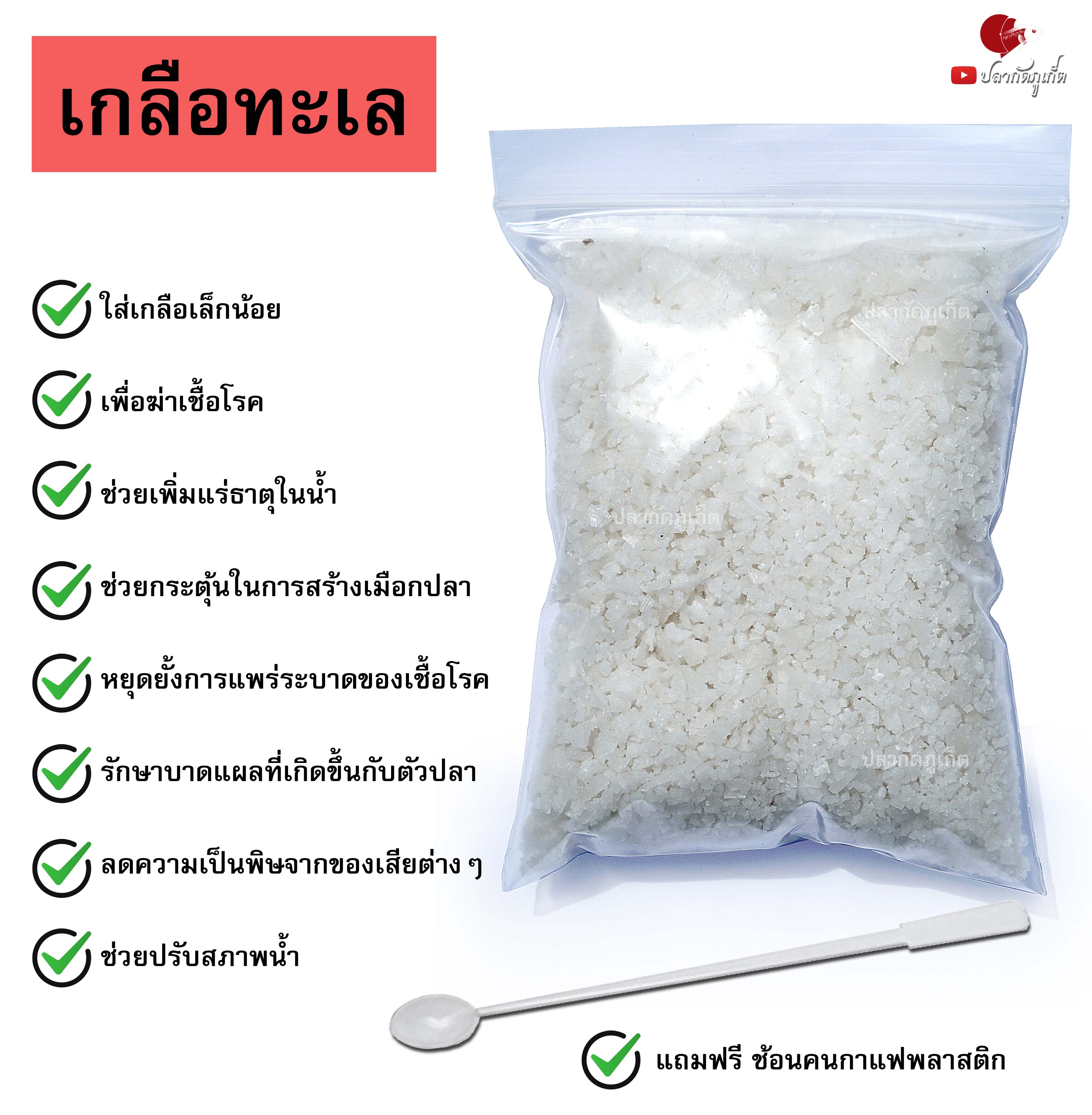 เกลือทะเล