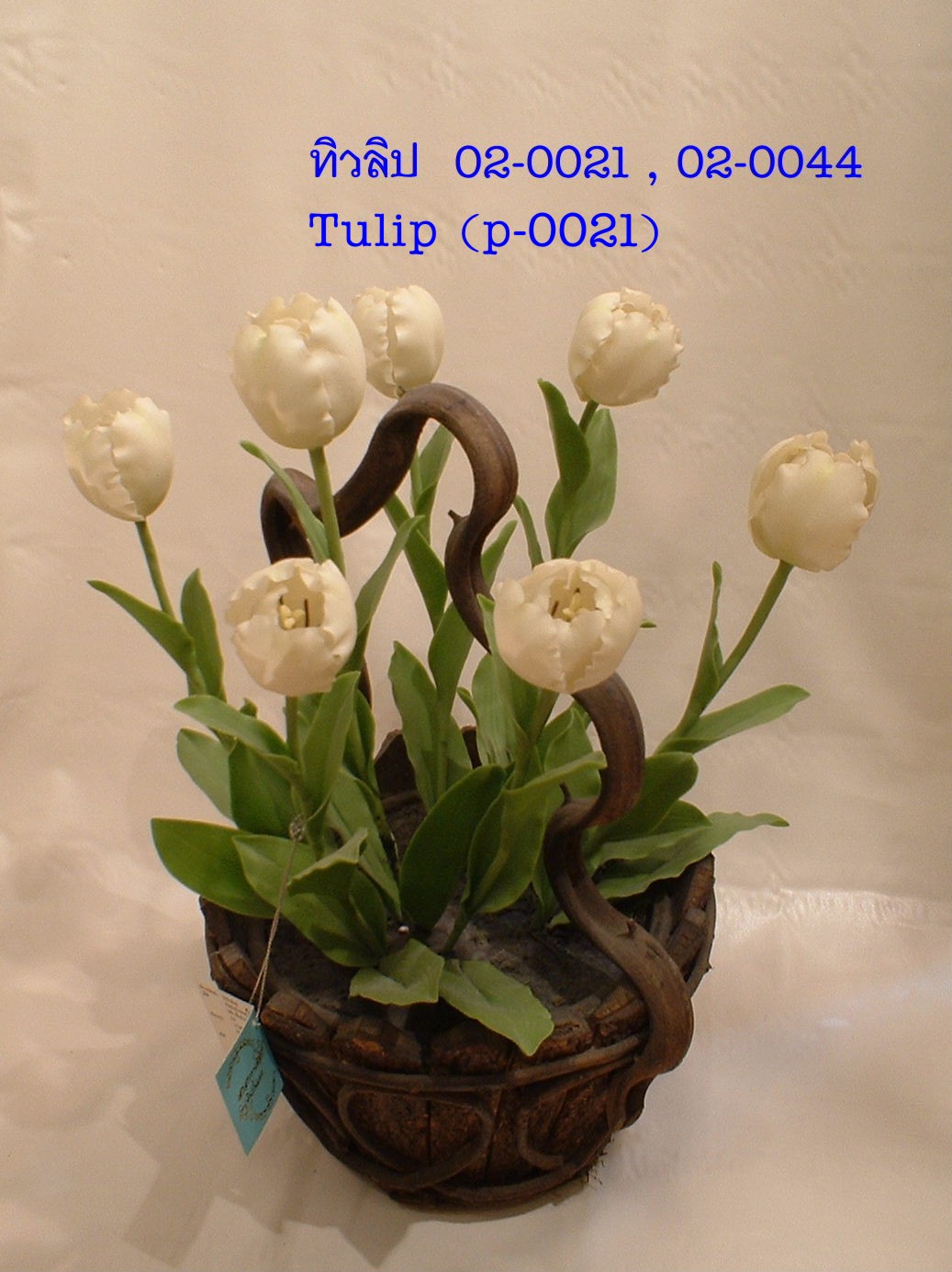 Tulip flower (Large)