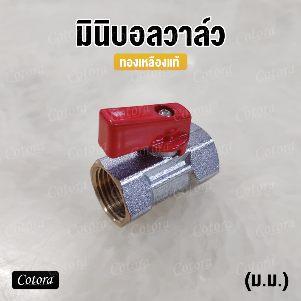 มินิบอลวาล์ว ทองเหลืองแท้ (ม.ม.)